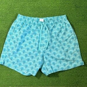 Bearbottom Shorts Mens LG Blue Geometric Swim Trunks 5.5" Inseam Lined